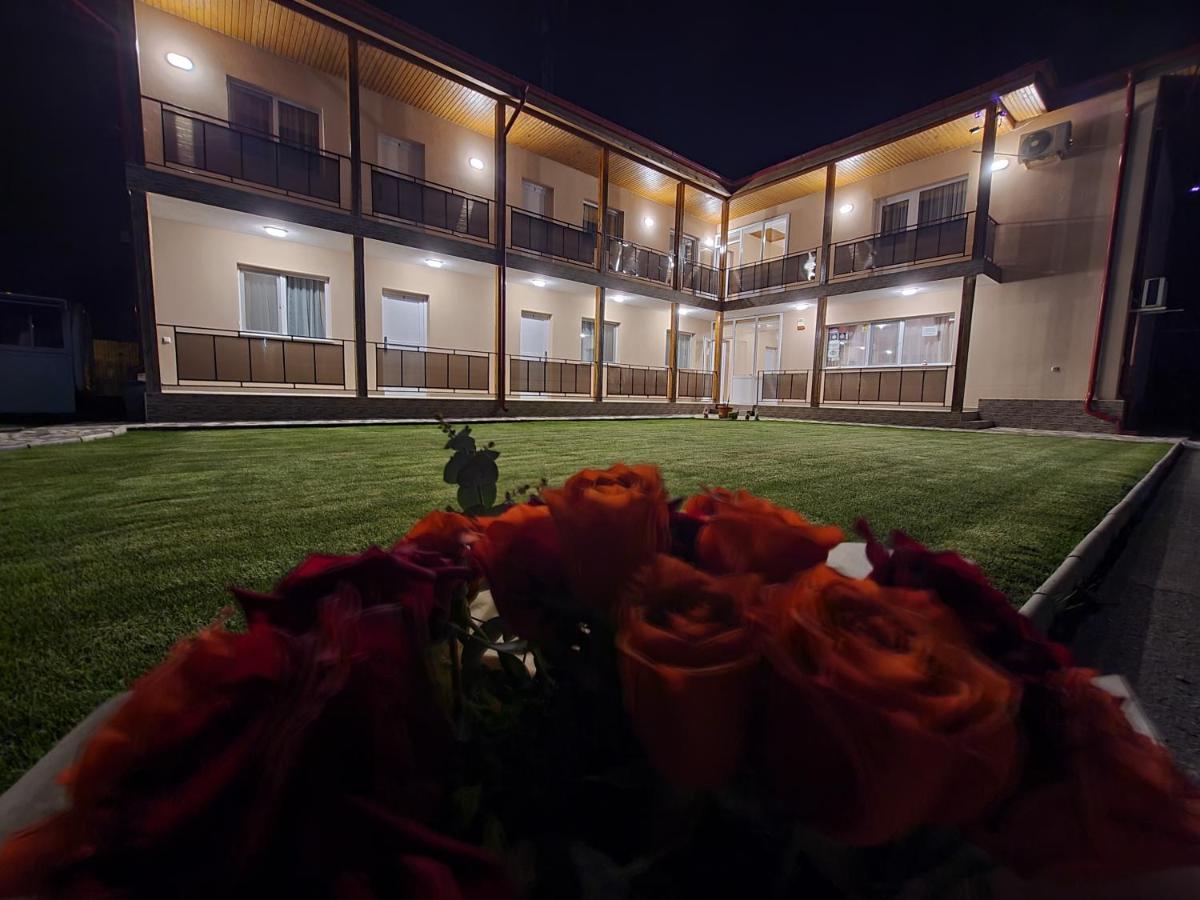Vila Sophia Vama Veche Zewnętrze zdjęcie