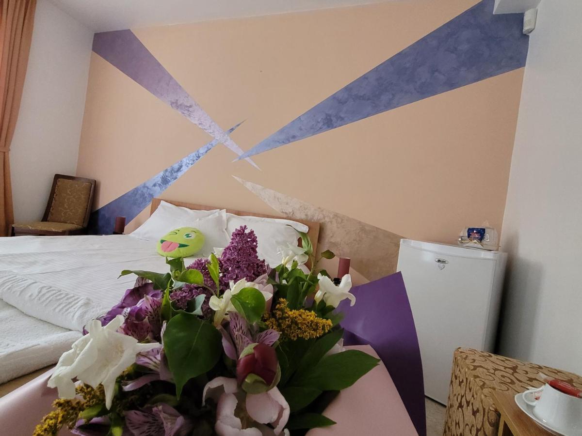 Vila Sophia Vama Veche Zewnętrze zdjęcie